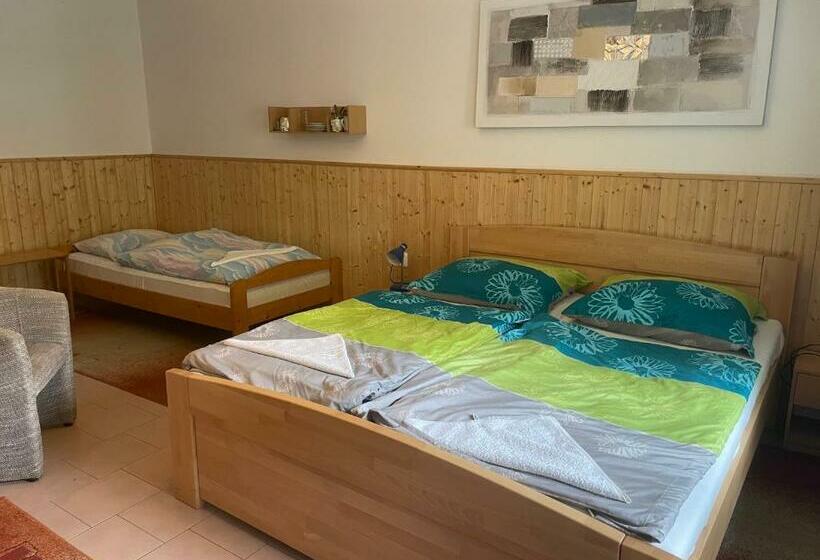 Пансион Penzion Fontána