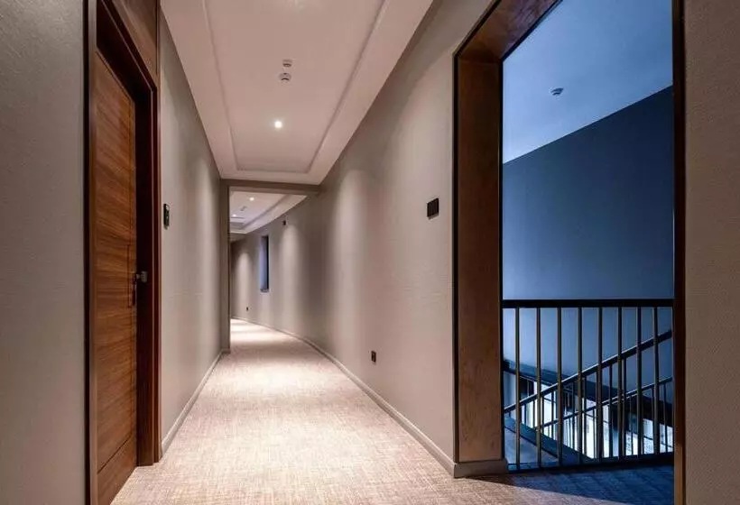 هتل Stein Collection