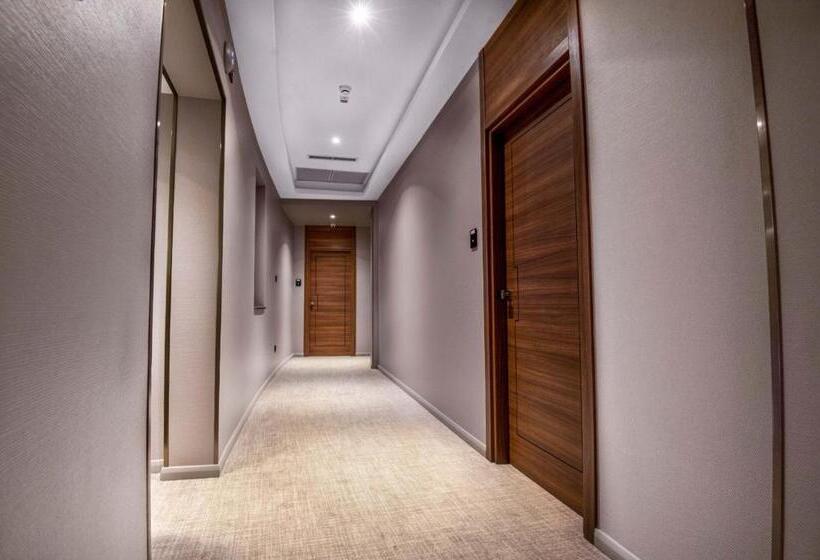 ホテル Stein Collection