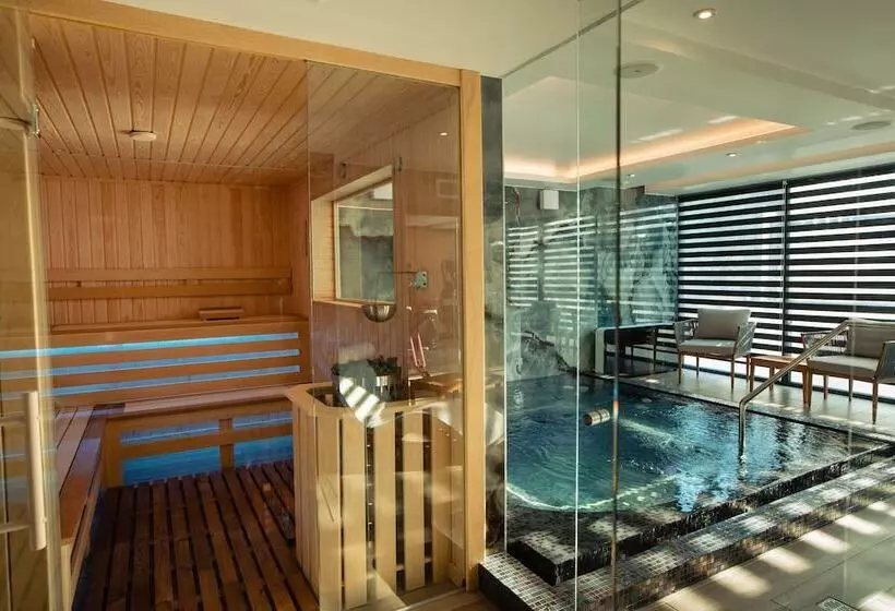 هتل Stein Collection