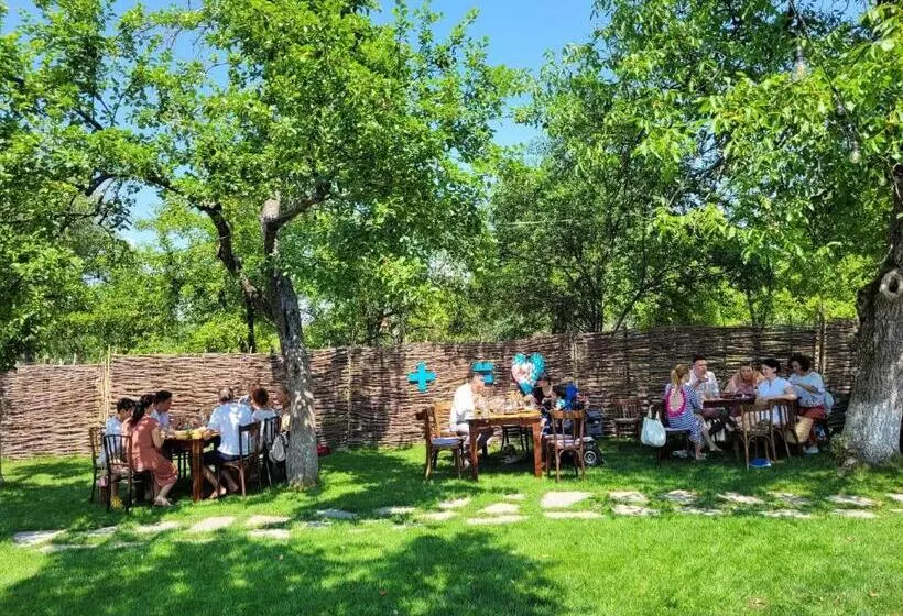 Joyard   Pensiune & Parc