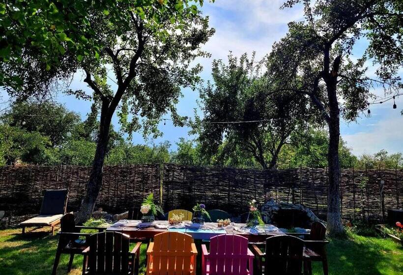 Joyard   Pensiune & Parc