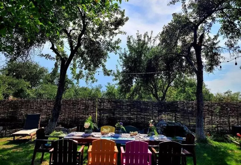 Joyard   Pensiune & Parc