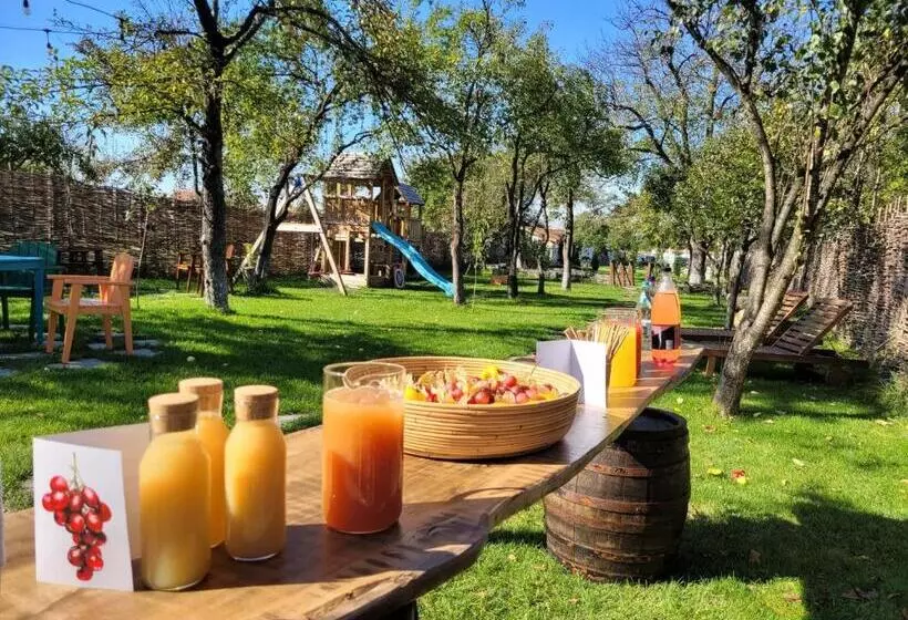 Joyard   Pensiune & Parc