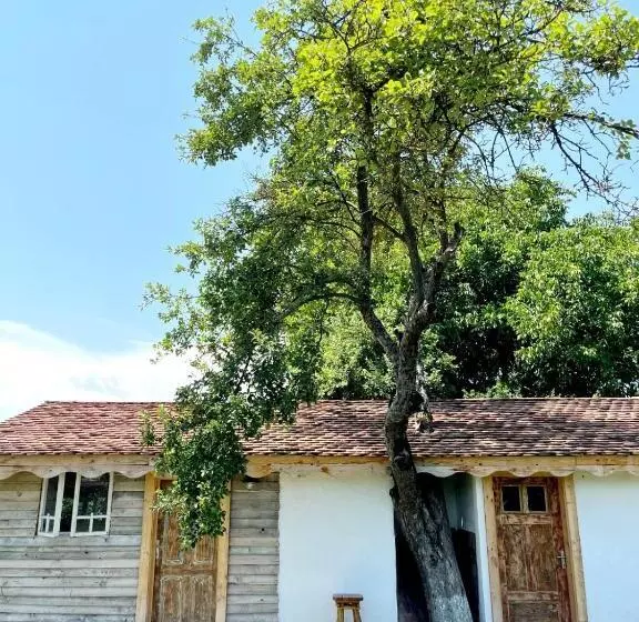 Joyard   Pensiune & Parc