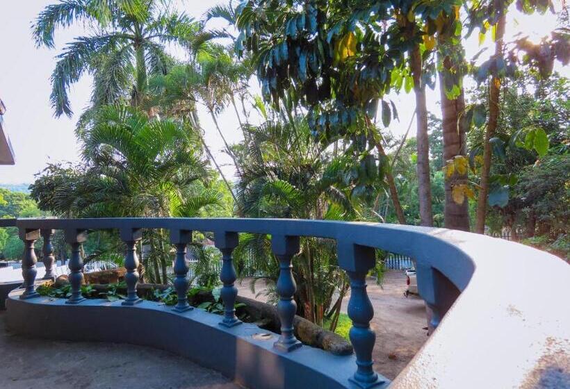 ペンション Casa Palmeira