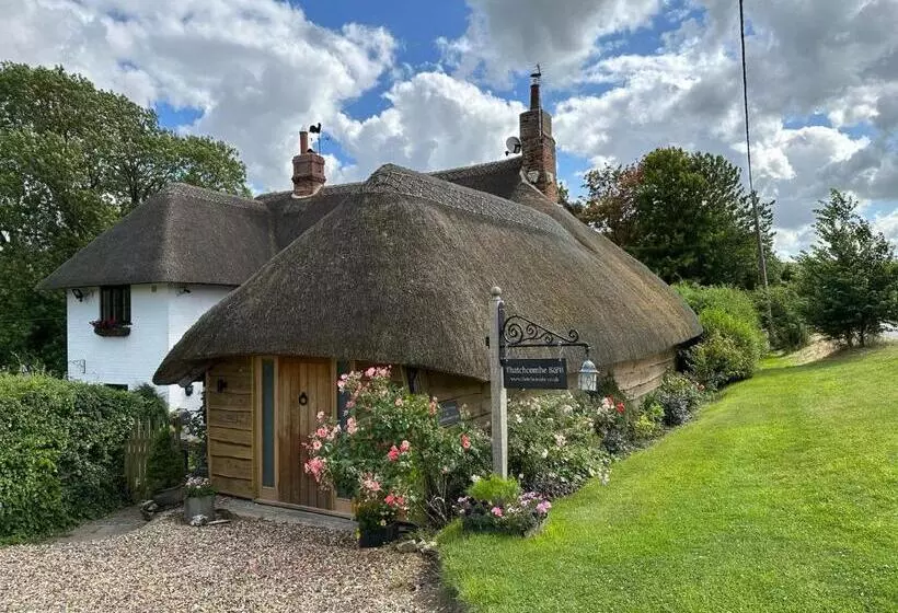 Thatchcombe B&b