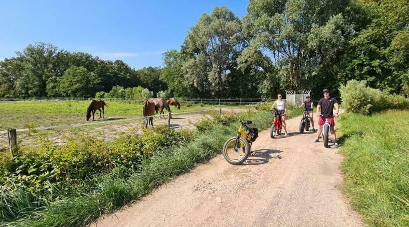 住宿加早餐 Dragonfly Appartamento Bianca