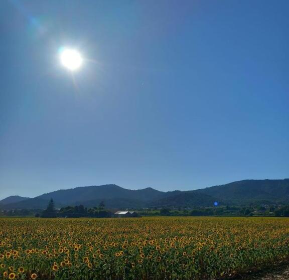 ベッドアンドブレックファースト Dacamaloya