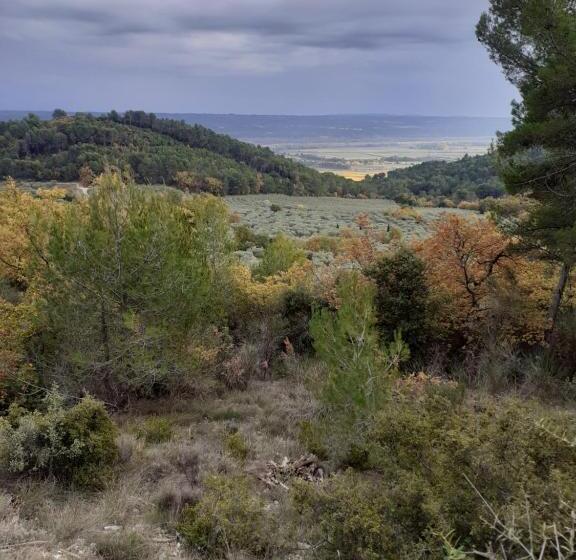 ベッドアンドブレックファースト Dacamaloya