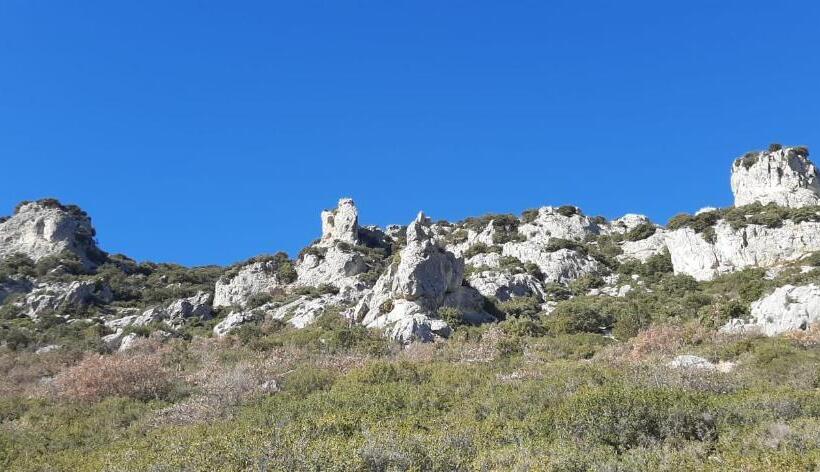 ベッドアンドブレックファースト Dacamaloya