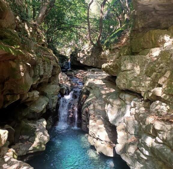 ベッドアンドブレックファースト Dacamaloya