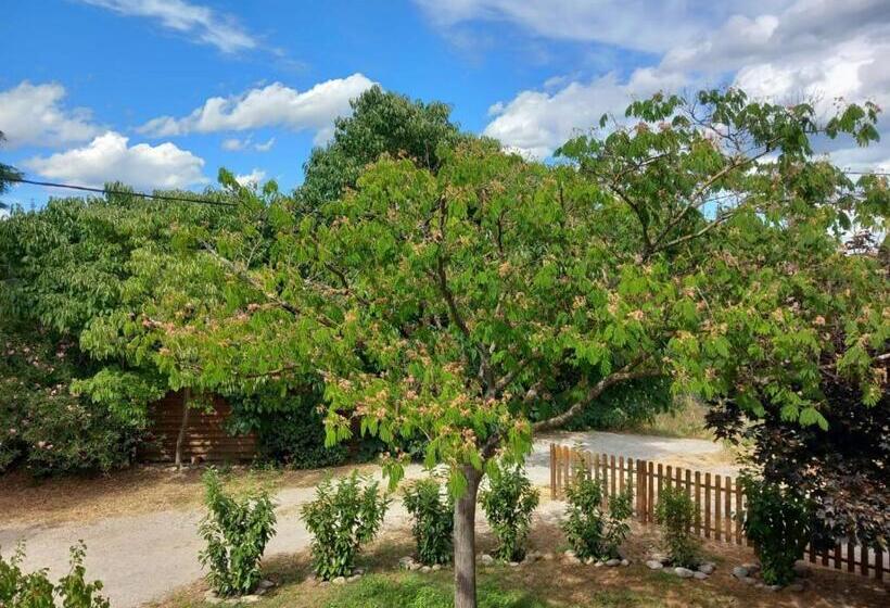 ベッドアンドブレックファースト Dacamaloya