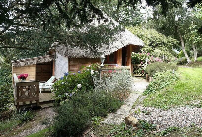مبيت وإفطار La Cabane De Cécile La Hutte