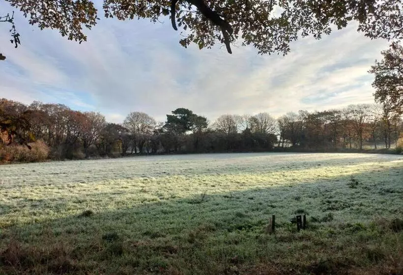 ベッドアンドブレックファースト Le Relais De Roscarven