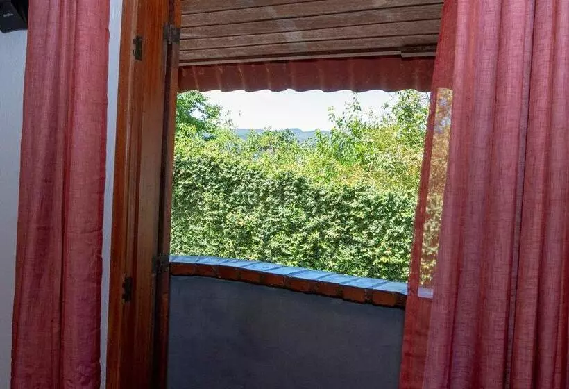 پانسیون Planeta Macacos