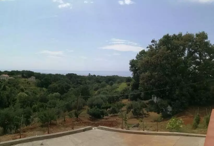 B&b Nonno Pino