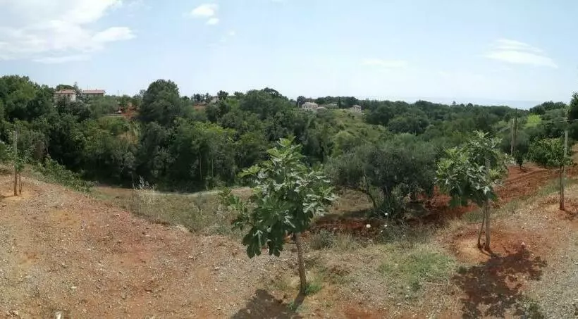 B&b Nonno Pino