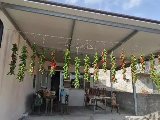 B&b Nonno Pino