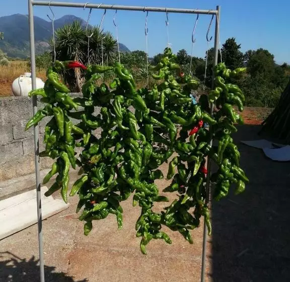 B&b Nonno Pino