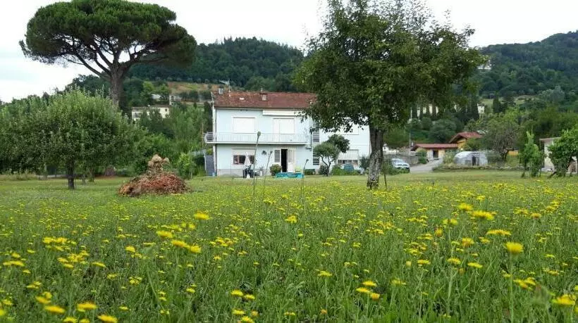 ペンション Affittacamere La Foresta Di Sopra