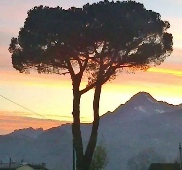 ペンション Affittacamere La Foresta Di Sopra
