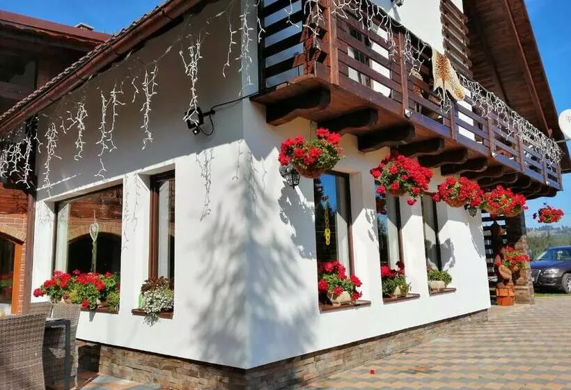 ペンション Casa De Vacanta Ioana