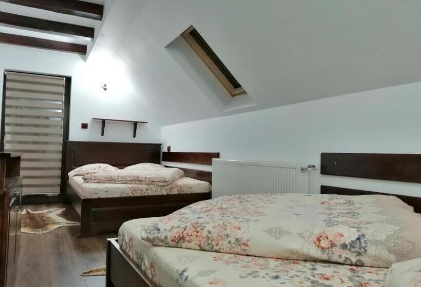 پانسیون Casa De Vacanta Ioana