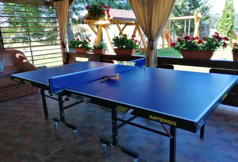 پانسیون Casa De Vacanta Ioana