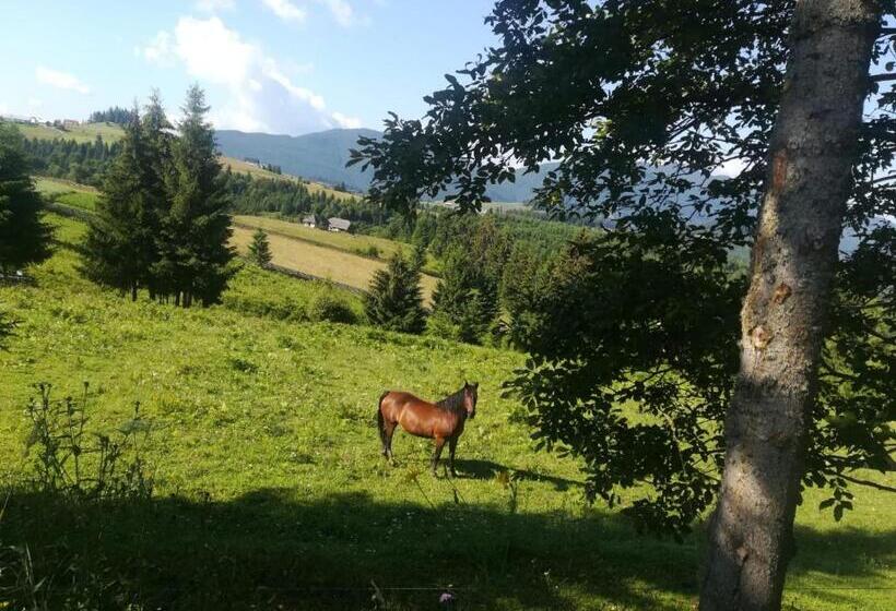 پانسیون Casa De Vacanta Ioana