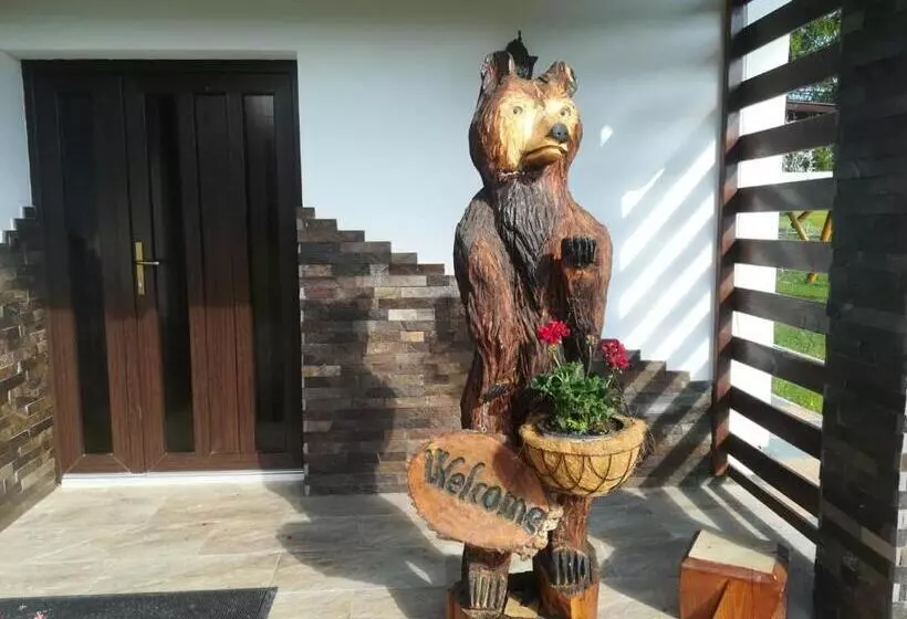 ペンション Casa De Vacanta Ioana