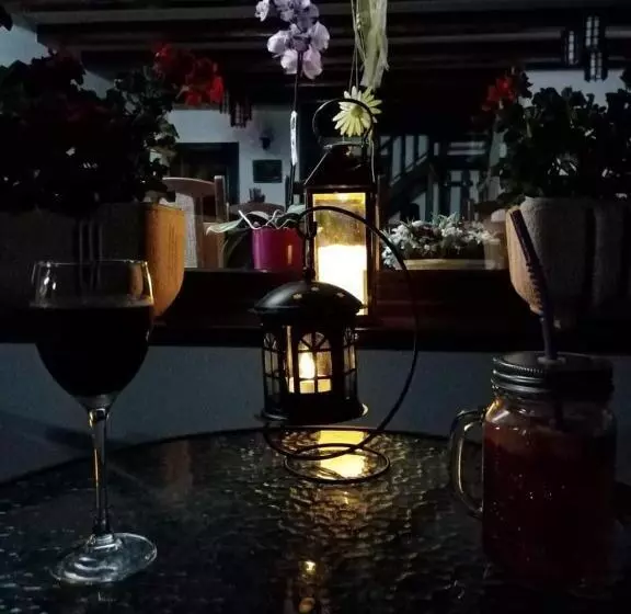 ペンション Casa De Vacanta Ioana