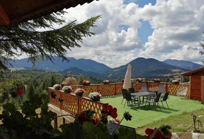 پانسیون Casa De Vacanta Ioana