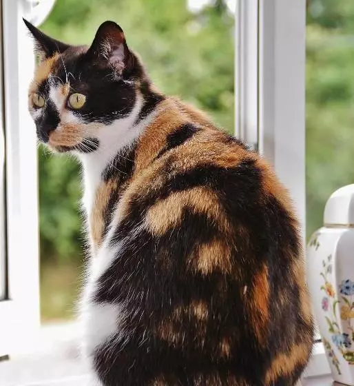 민박 Strand S End House