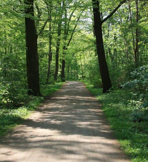 בית מלון כפרי Flora