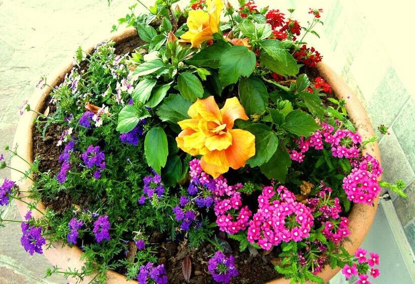 호텔 Locanda Degli Agrumi