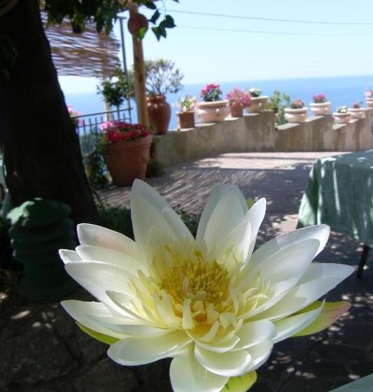 호텔 Locanda Degli Agrumi