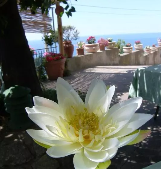 Отель Locanda Degli Agrumi