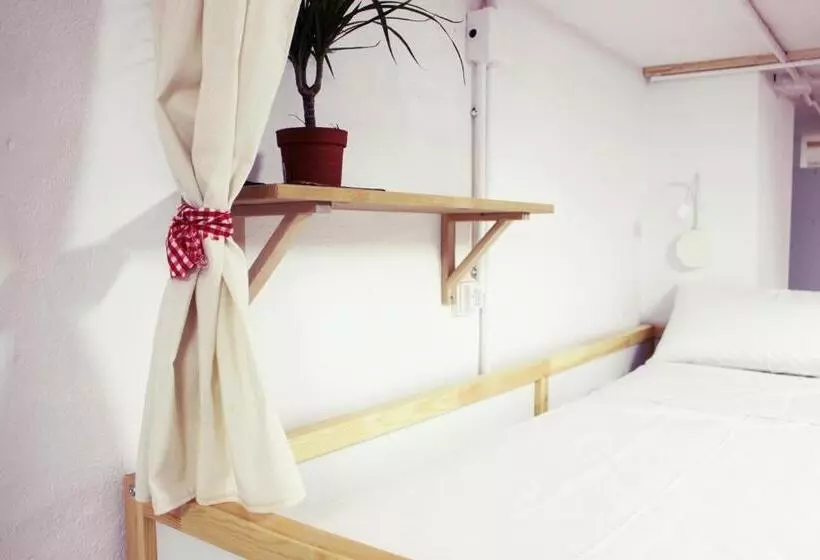 Picnic Dreams Boutique Hostel