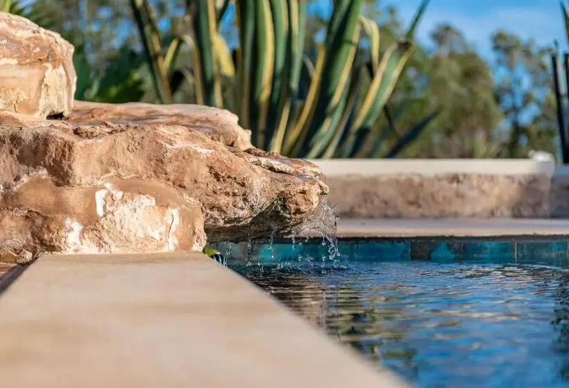 Aamiaismajoitus (B&B) Absolu Beldi Essaouira