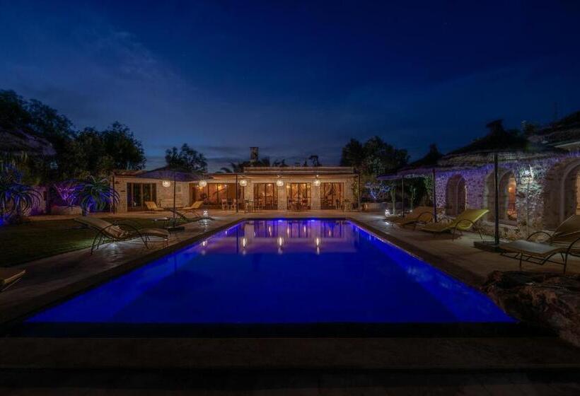 مبيت وإفطار Absolu Beldi Essaouira