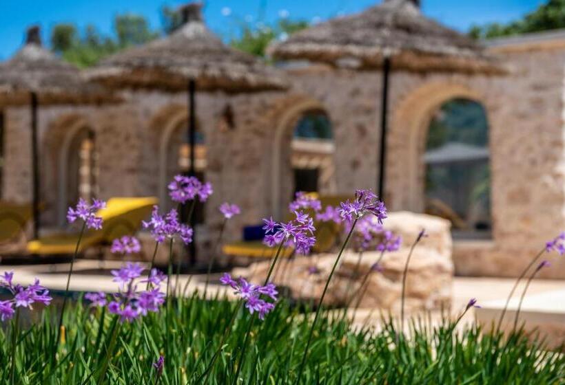 مبيت وإفطار Absolu Beldi Essaouira