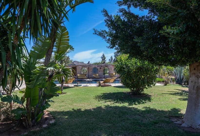 مبيت وإفطار Absolu Beldi Essaouira