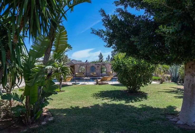 Aamiaismajoitus (B&B) Absolu Beldi Essaouira