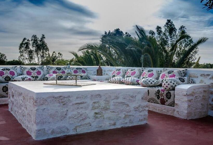 مبيت وإفطار Absolu Beldi Essaouira