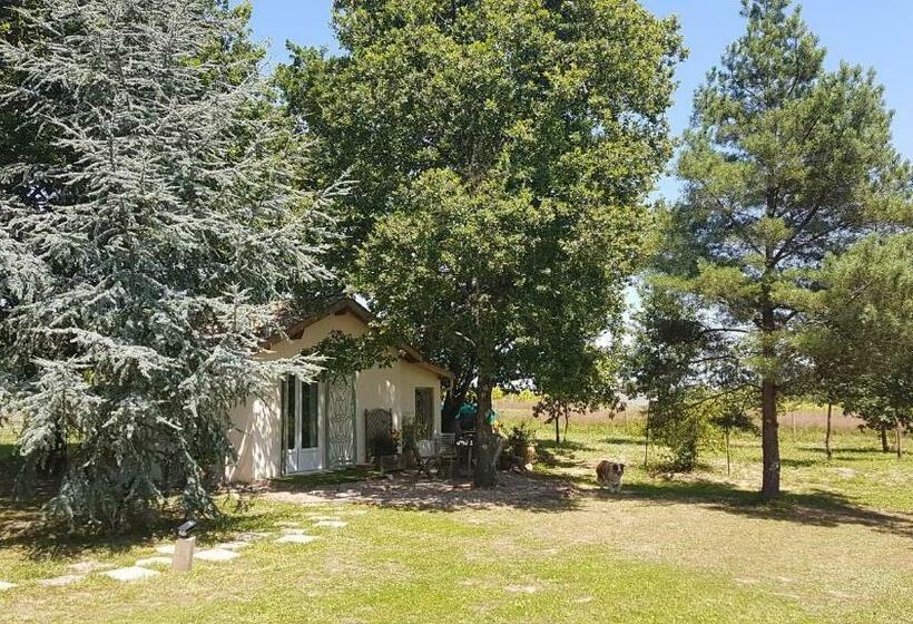 住宿加早餐  La Petite Boulandre