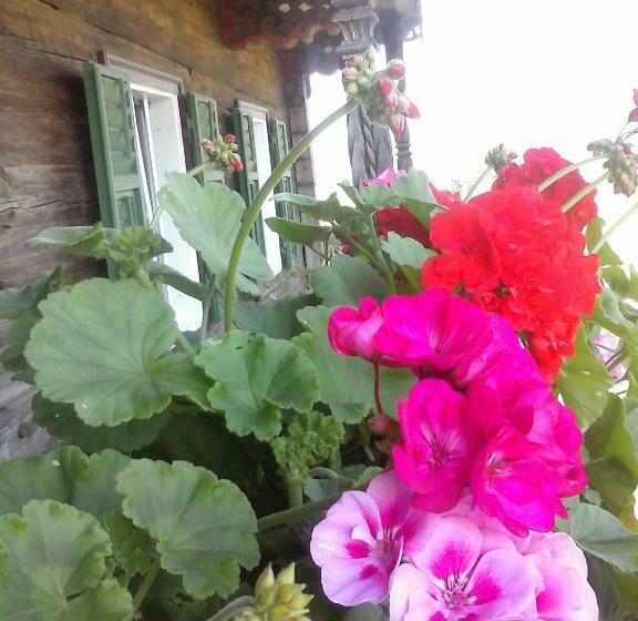 בית מלון כפרי Selbstversorgerhütte Plafing