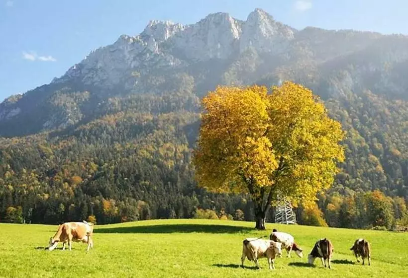 هتل Selbstversorgerhütte Plafing