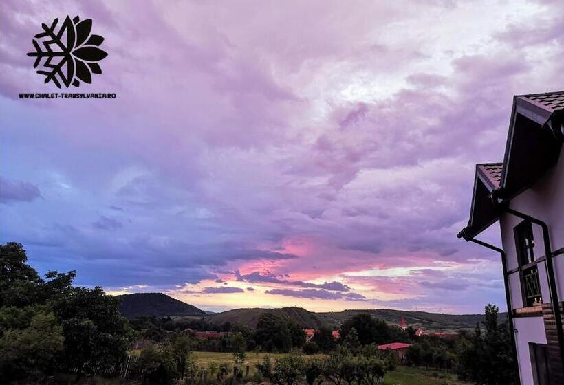 Пансион Cabana Chalet Transylvania