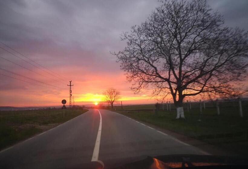 Пансион Cabana Chalet Transylvania